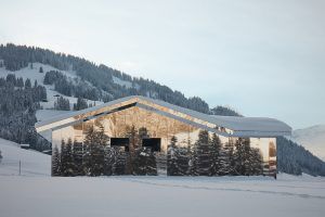 Doug Aitken Mirage Gstaad Gewoonvoorhem