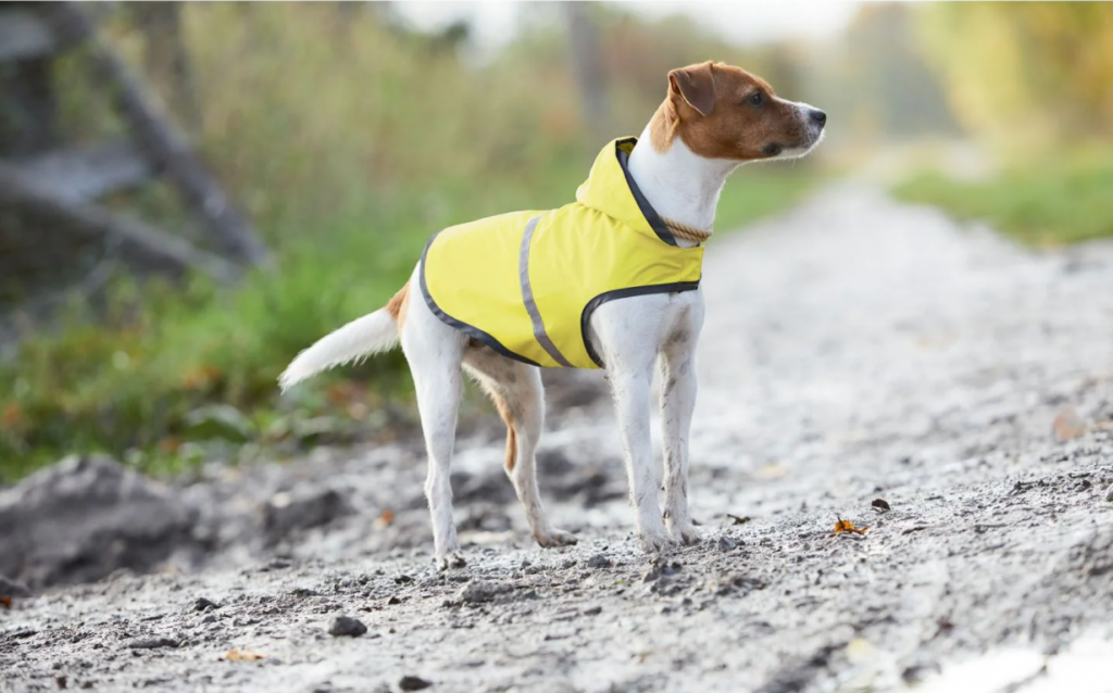 regenjas voor honden