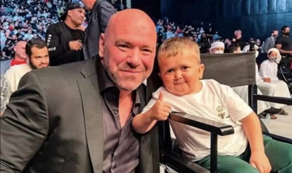 vermogen dana white