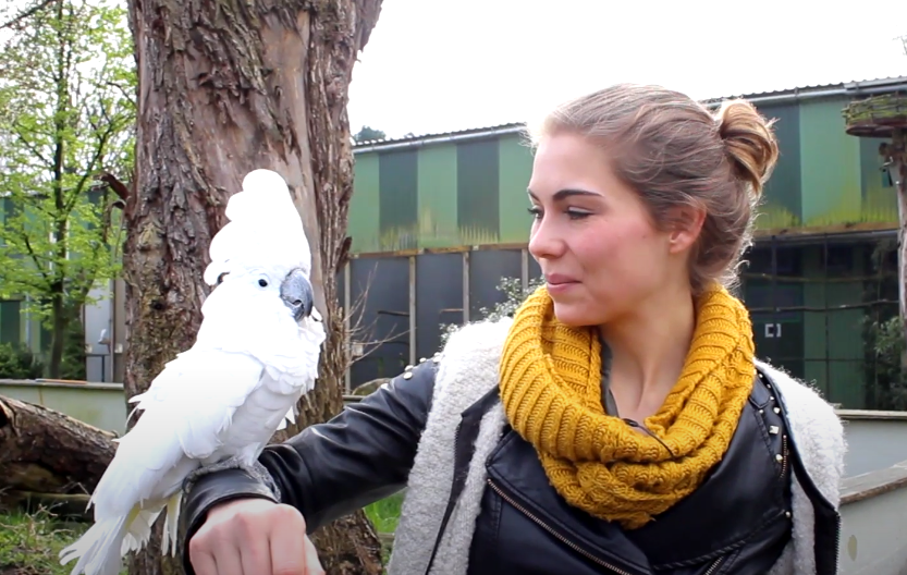 zoo veldhoven dierentuin