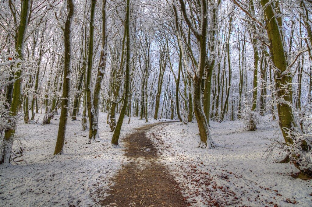 In de winter wandelen is goed voor je