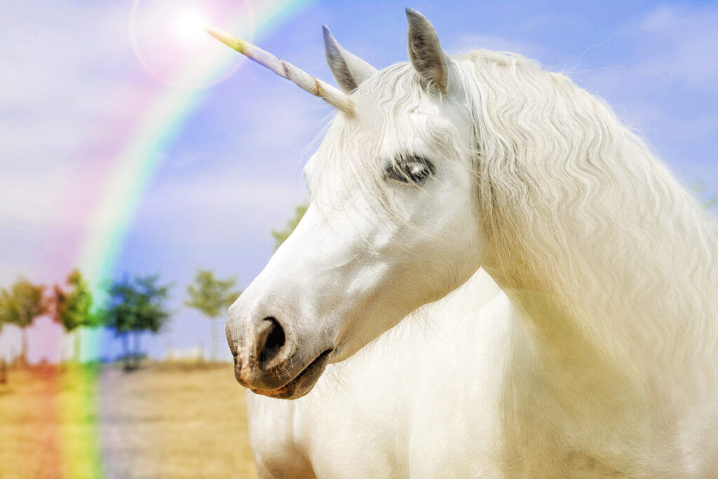 Illustratie voor: Alarm! Aldi verkoopt vanaf MORGEN spotgoedkope unicorn sloffen