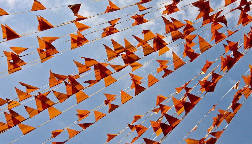 koningsdag-katervrij