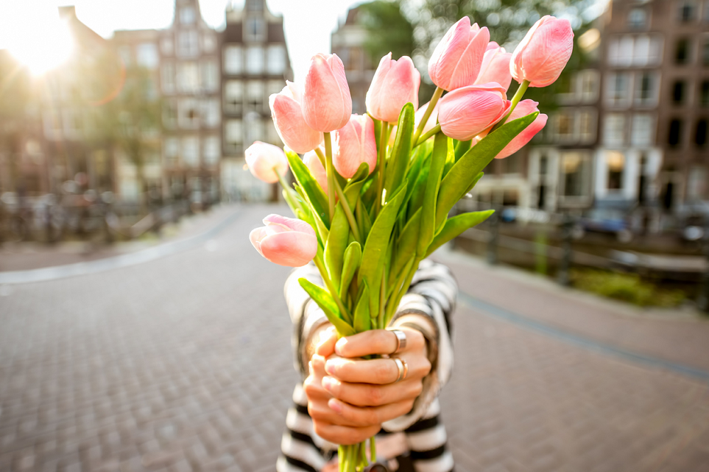 Illustratie voor: Leuk om te weten: deze bloem past bij jouw geboortemaand