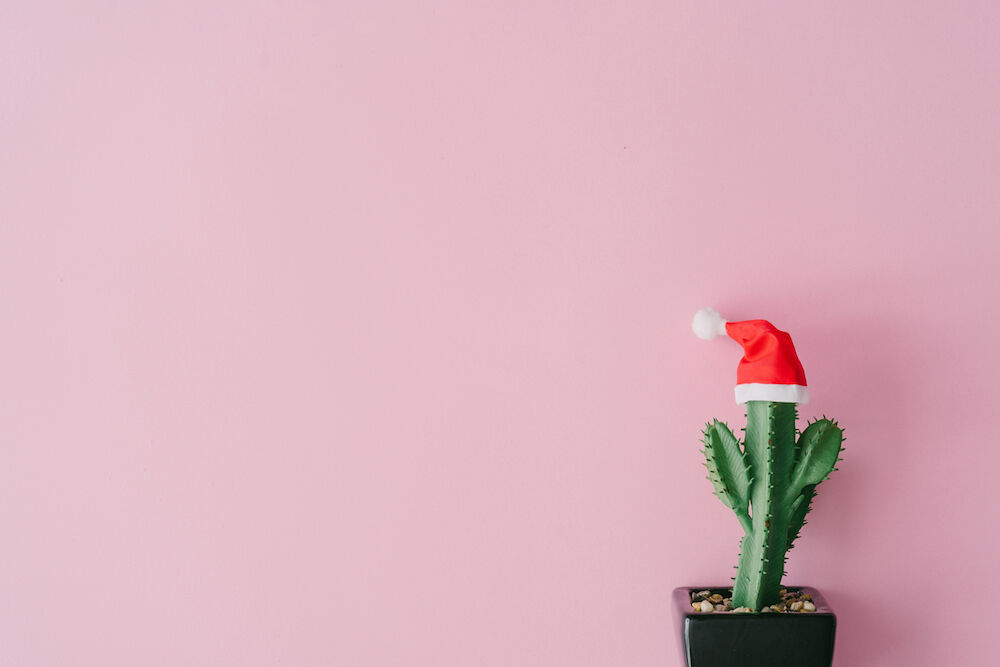 Illustratie voor: Vergeet de standaard kerstboom: dit jaar nemen we een cactus kerstboom