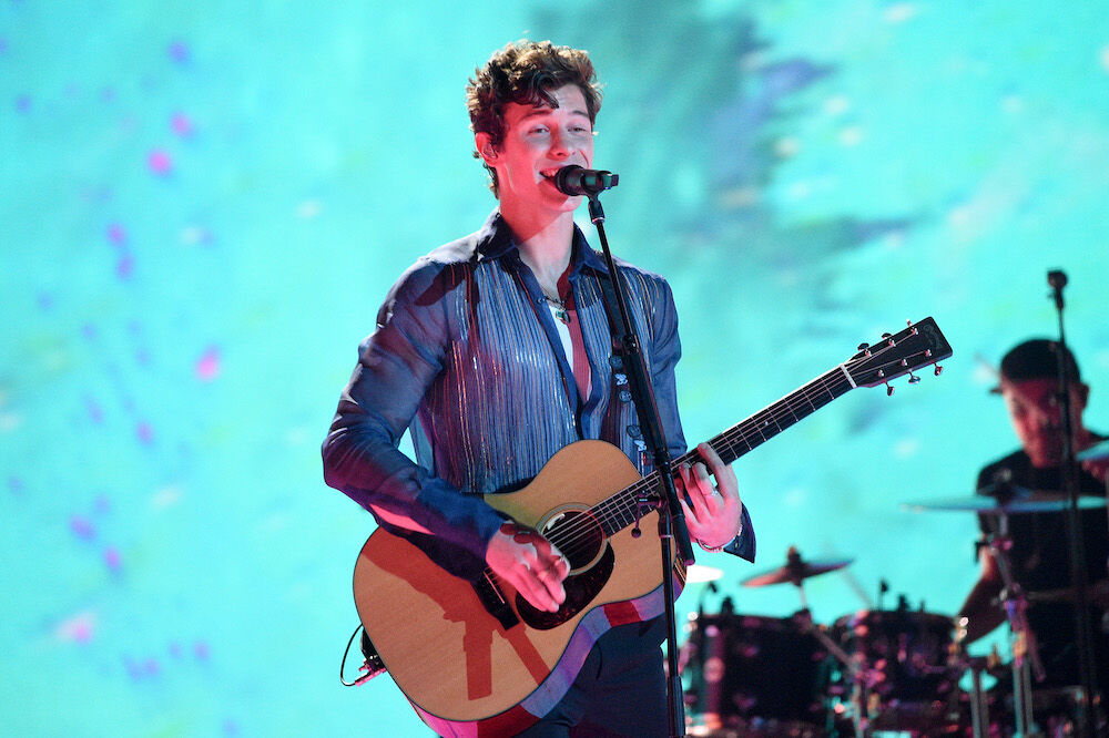 Illustratie voor: Netflix films: Shawn Mendes In Wonder