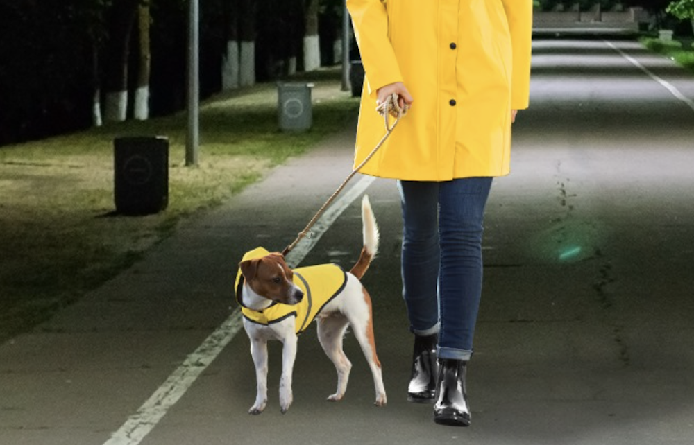 Illustratie voor: Lidl verkoopt nu matchende regenjassen voor jou en je hond (en dat ziet er té cute uit)