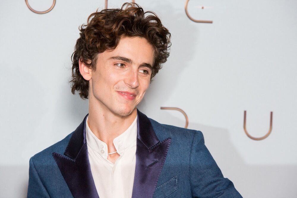 Illustratie voor: Is it hot in here? Timothée Chalamet deelt hoe hij eruitziet als Willy Wonka