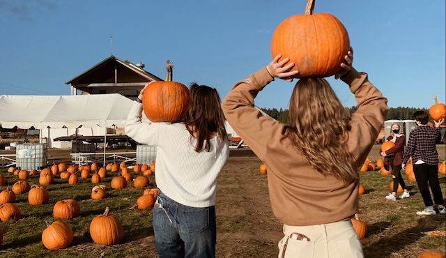 sterrenbeeld-herfstactiviteit