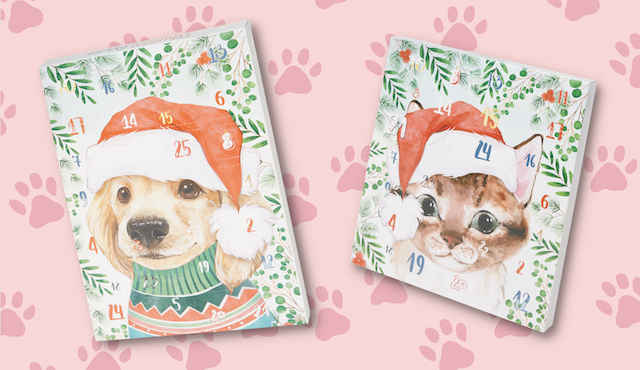 honden-katten-adventskalender-action