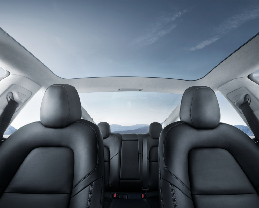 tesla model 3 MAN-MAN