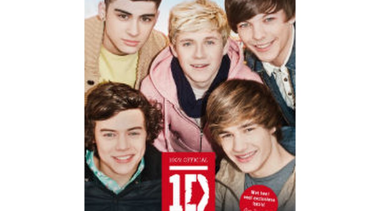 Illustratie voor: WIN: 3x posterboek van One Direction & 3x ‘Op weg naar de top’! [afgelopen]