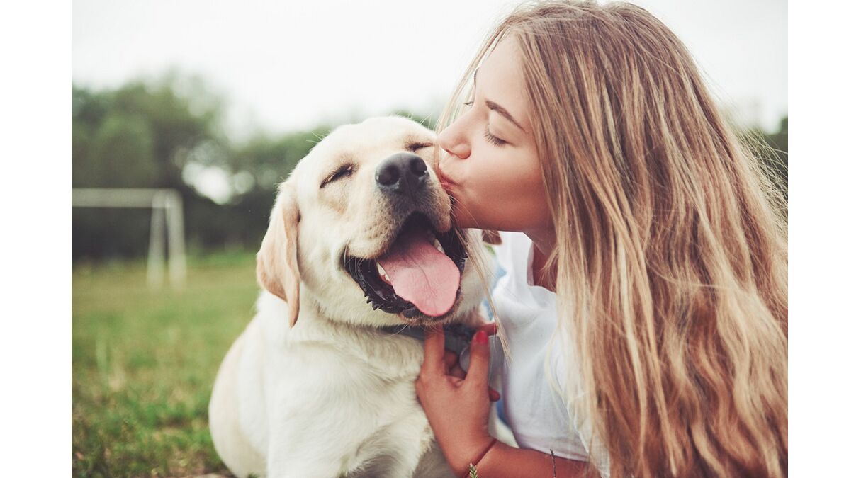 Illustratie voor: Er bestaat nu een escape room voor jou en je hond