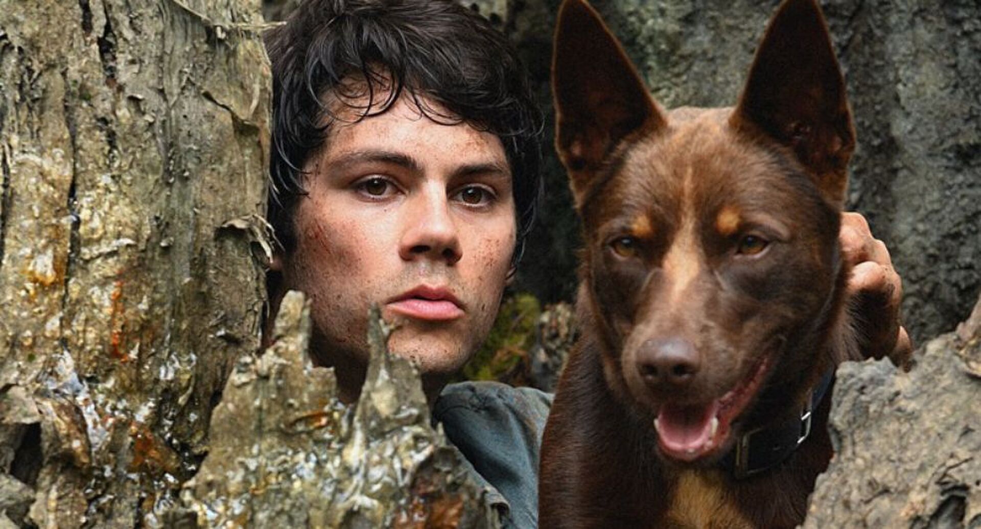 dylan-obrien-film-aanbevelingen