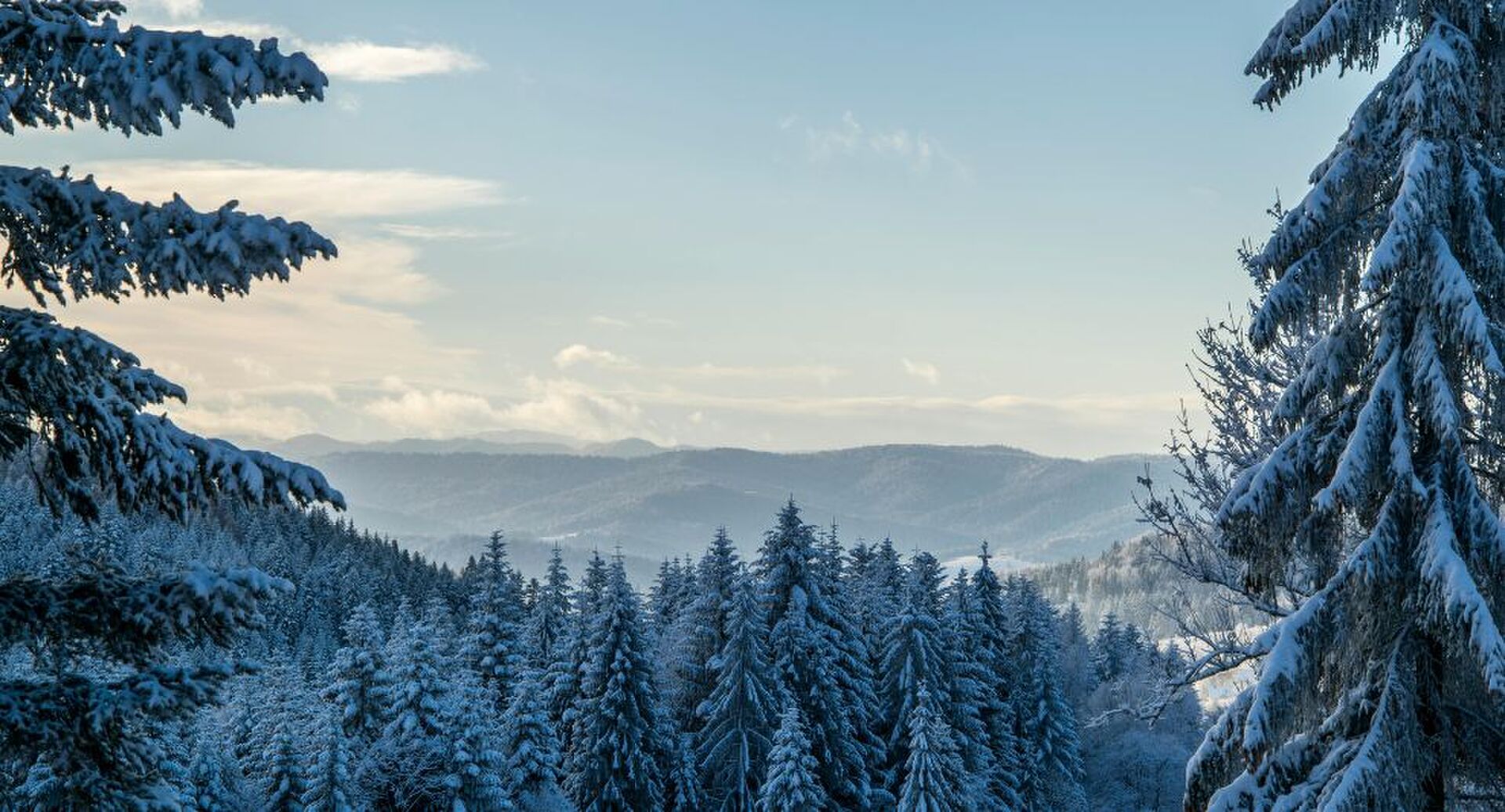 winter vol liefde seizoen 2