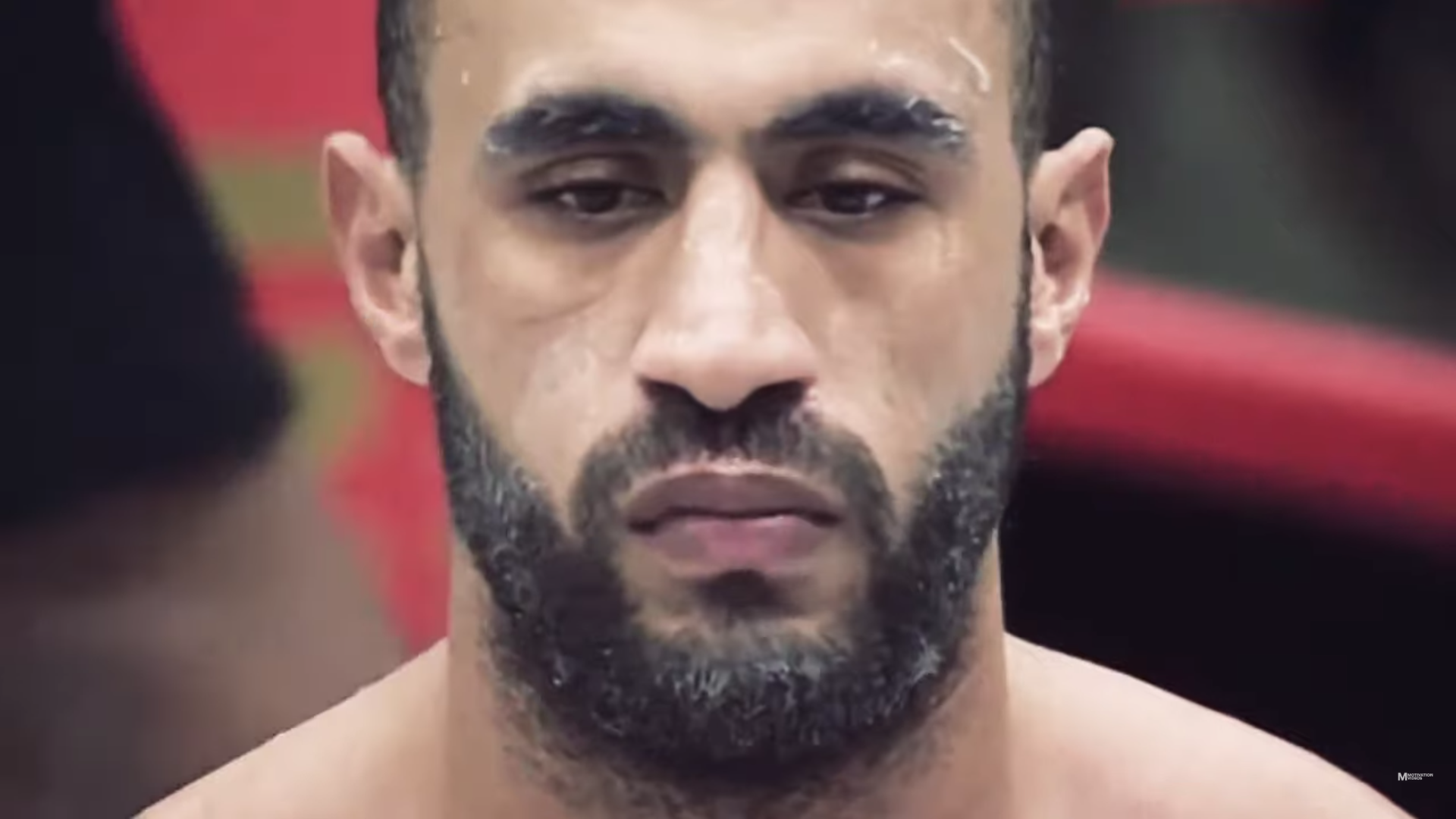 tegenstander van badr hari