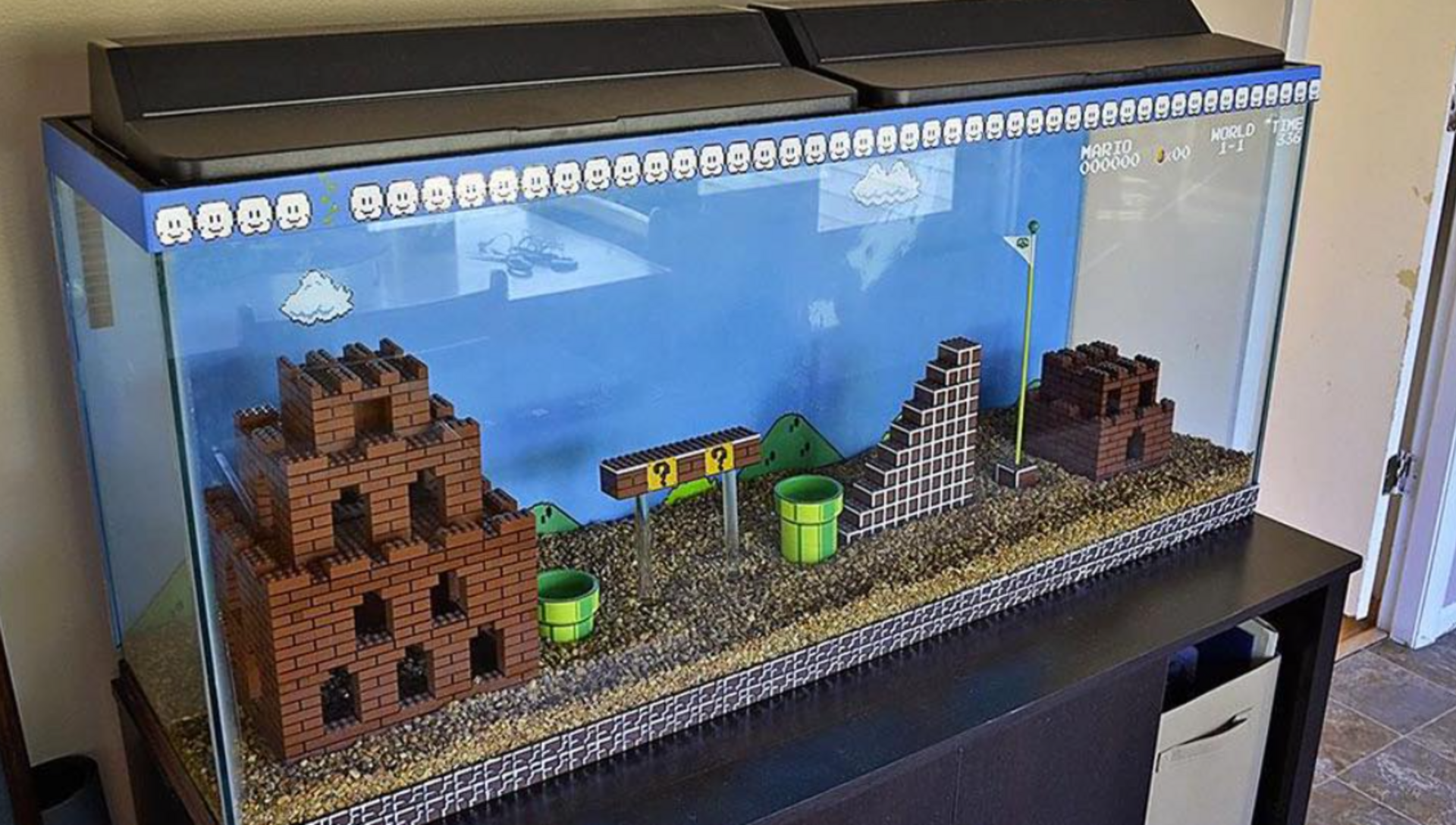 Super Mario aquarium