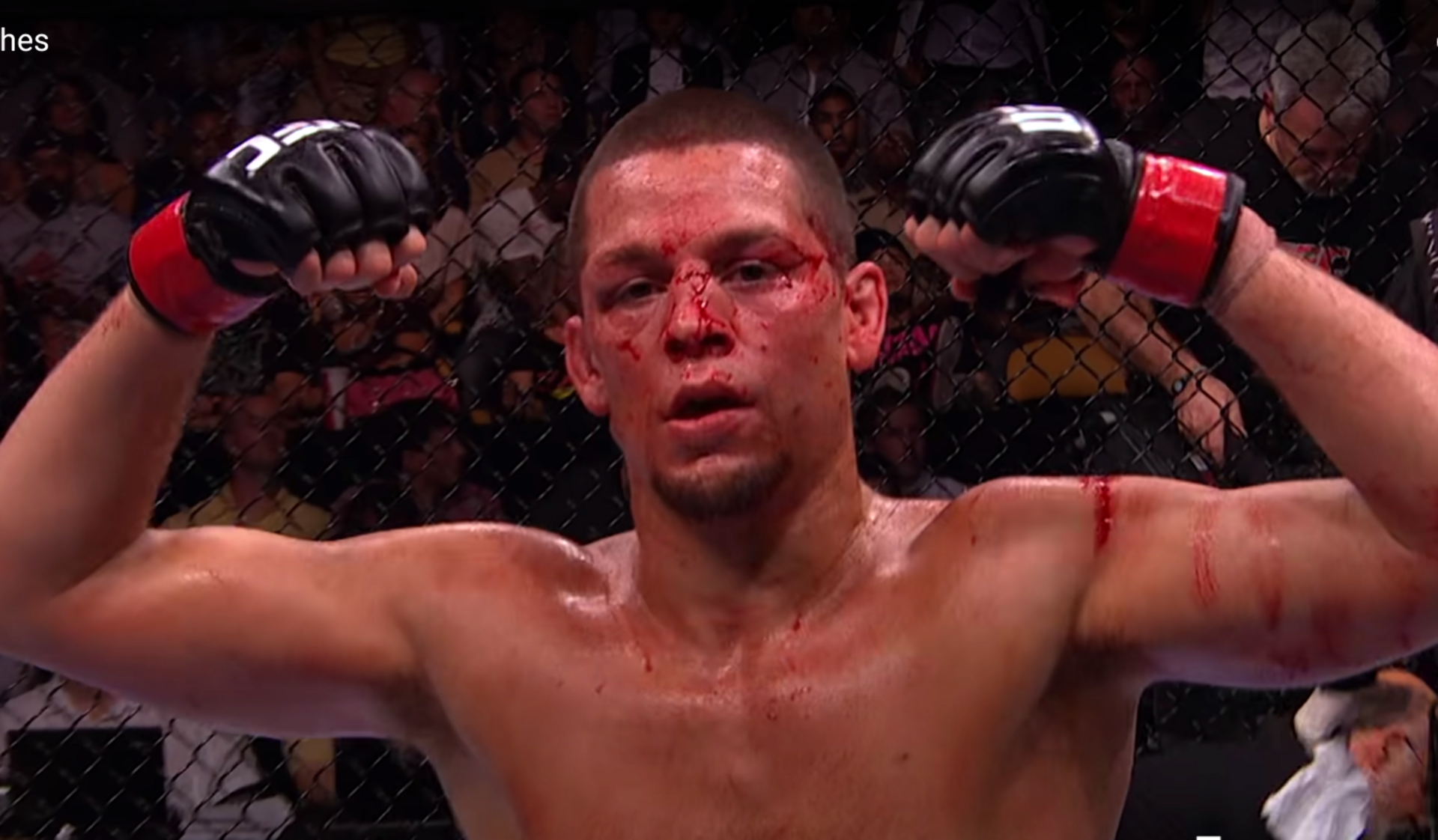 Nate Diaz