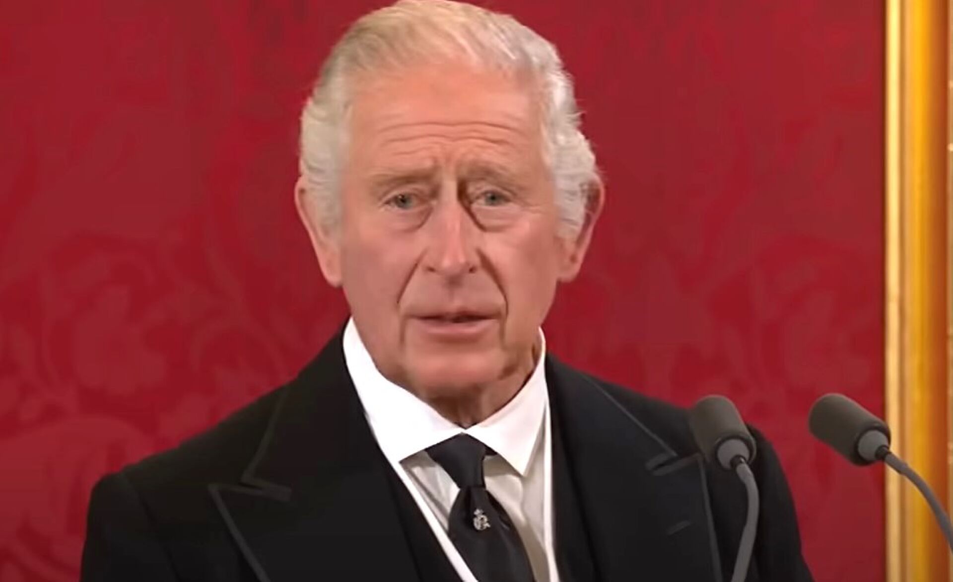 vermogen koning Charles