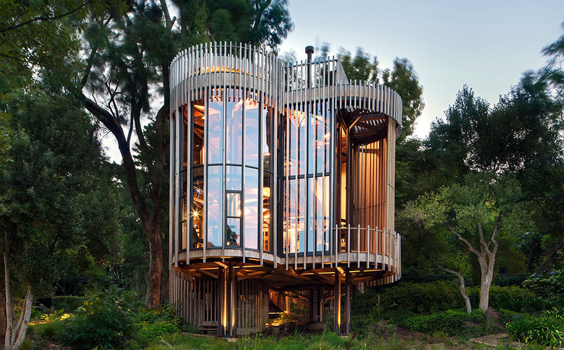 tree house constantia