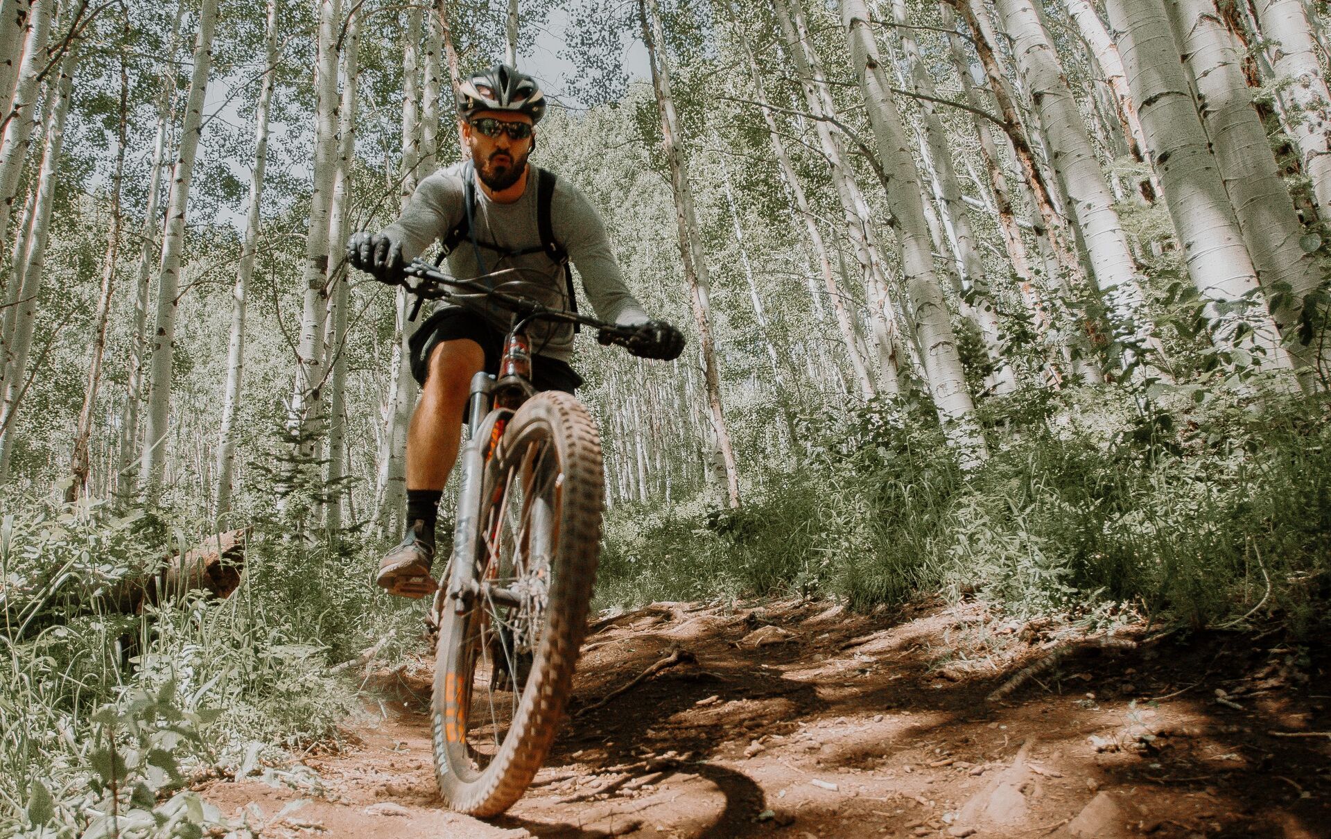 waar op letten bij kopen mountainbike