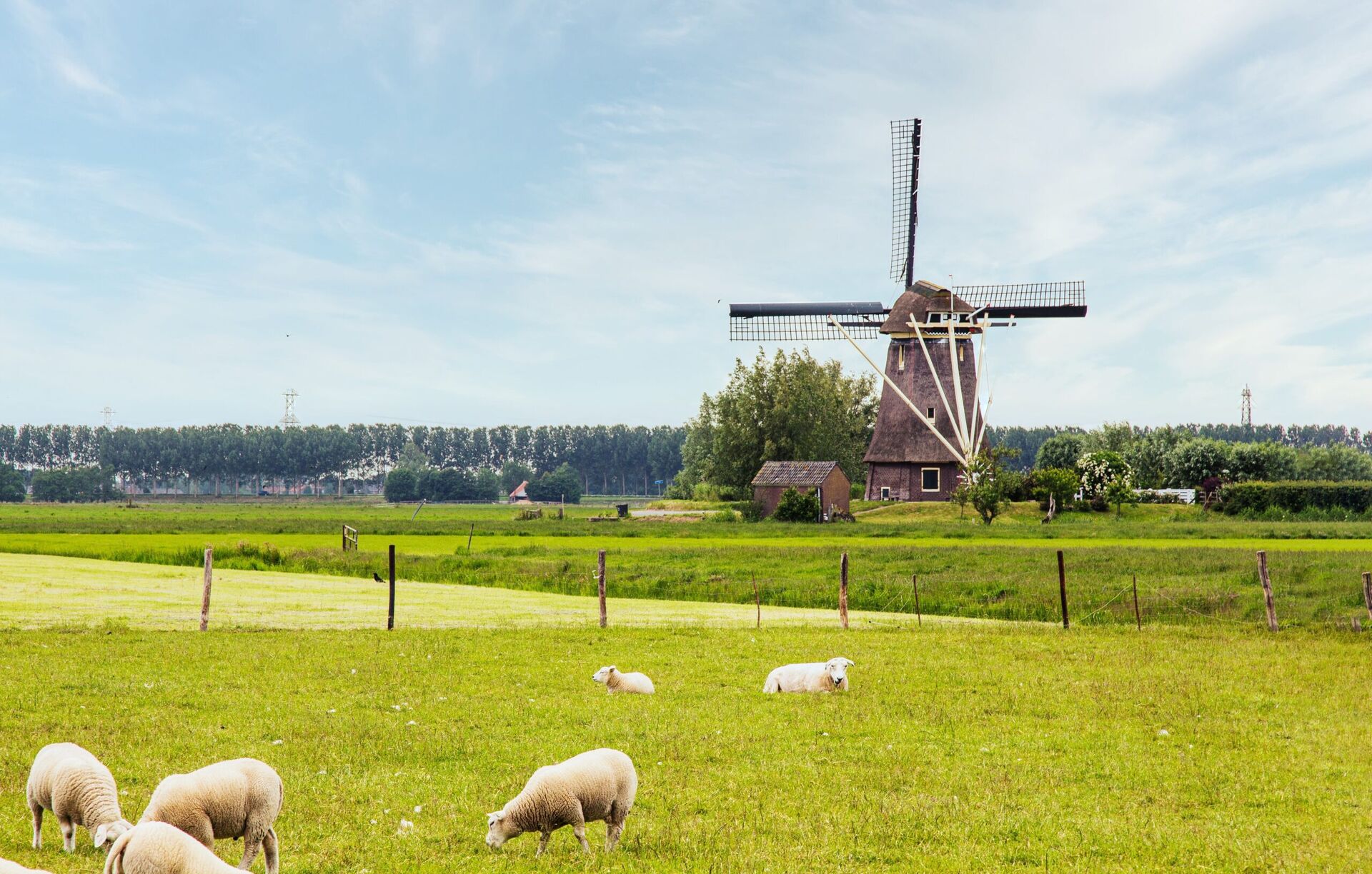 gelukkigste woonplaats Nederland