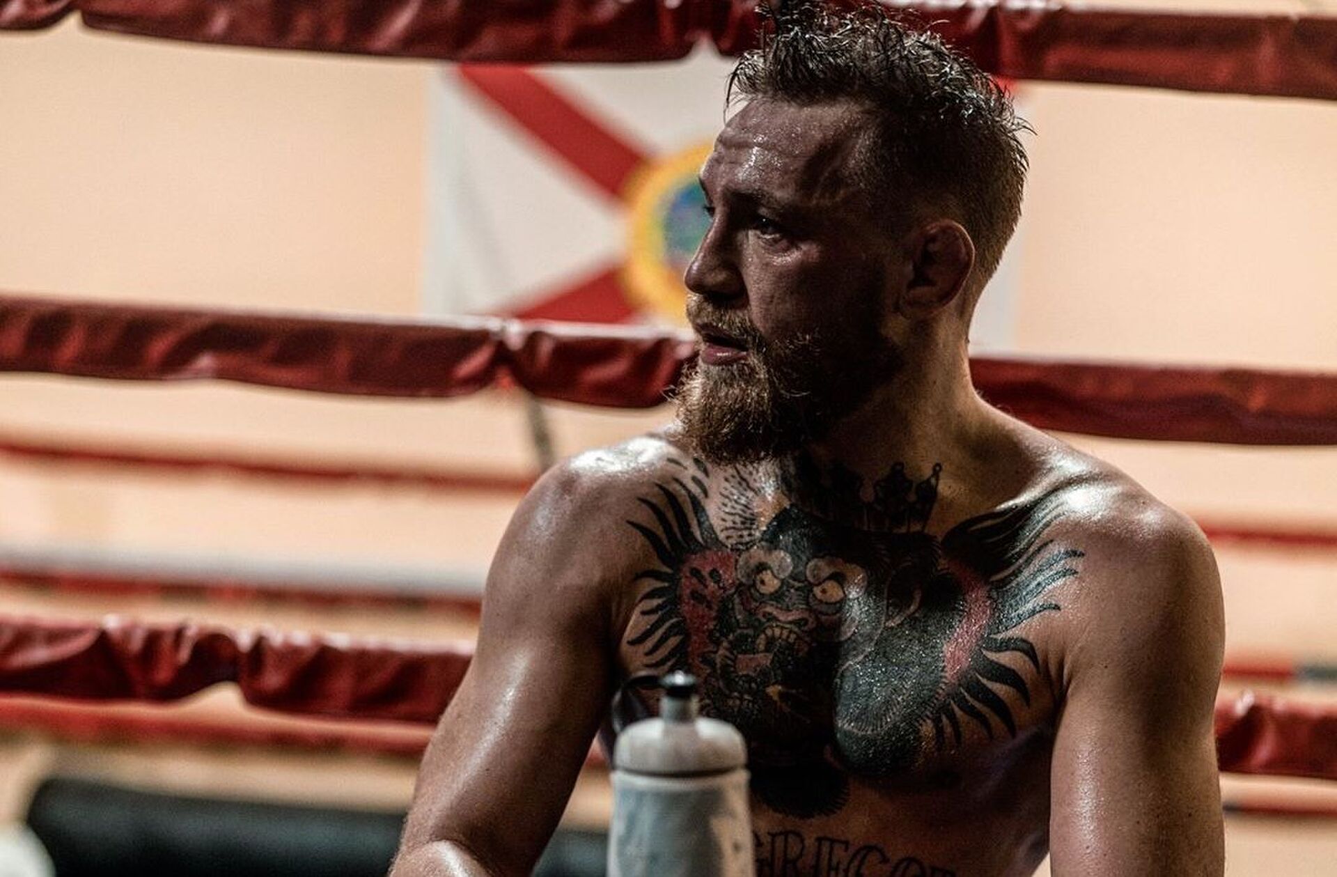 Conor McGregor stop Gewoonvoorhem