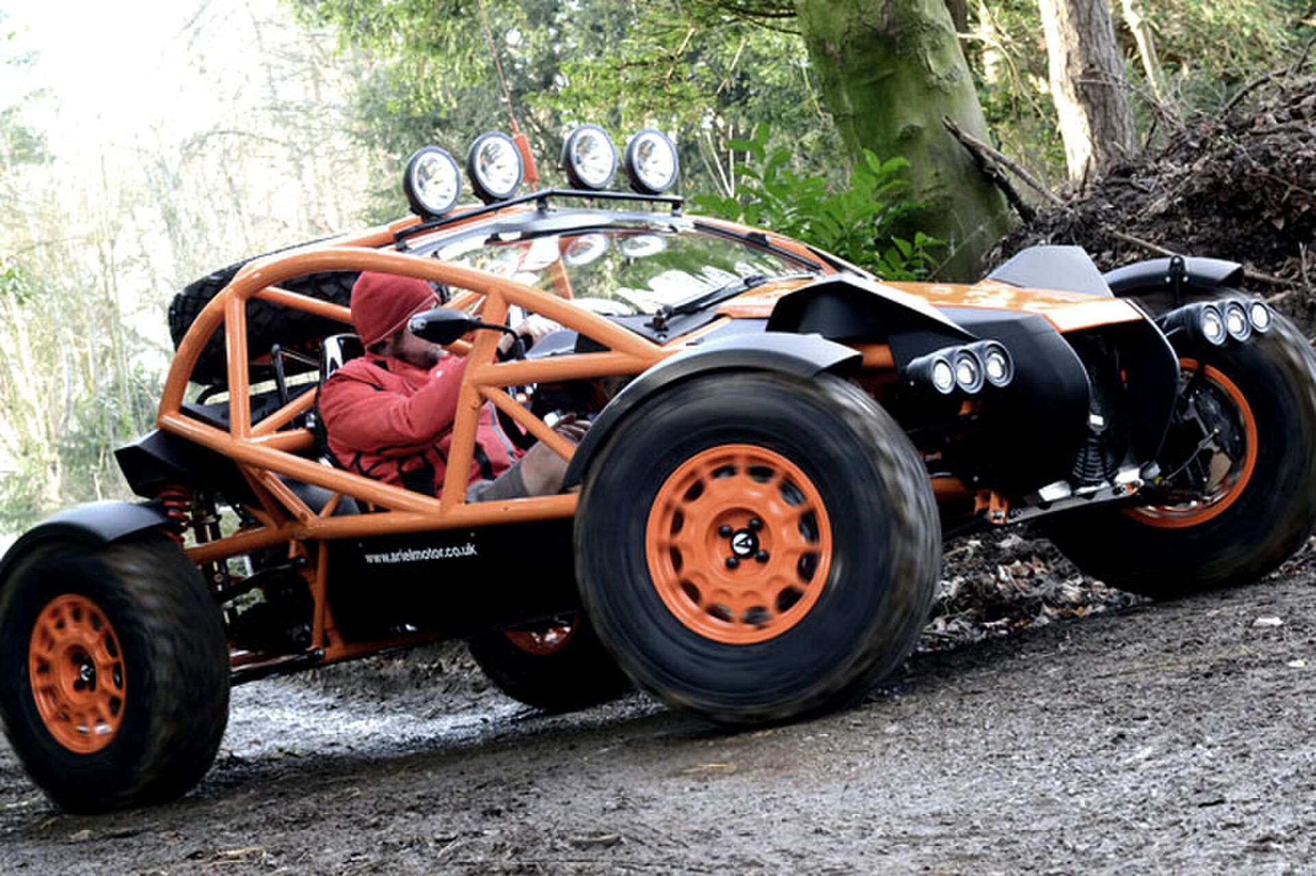 ariel nomad