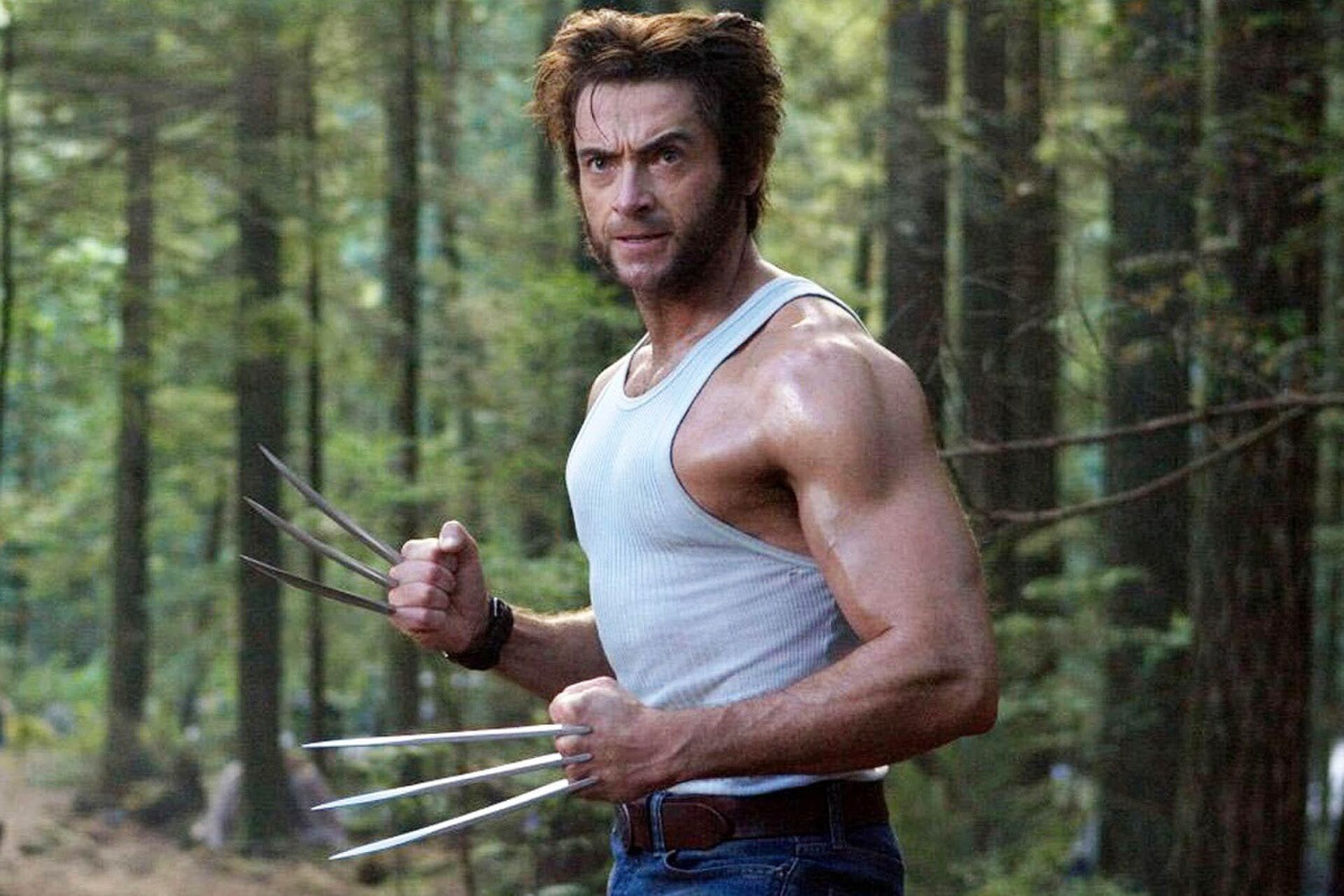 Hugh Jackman wolverine