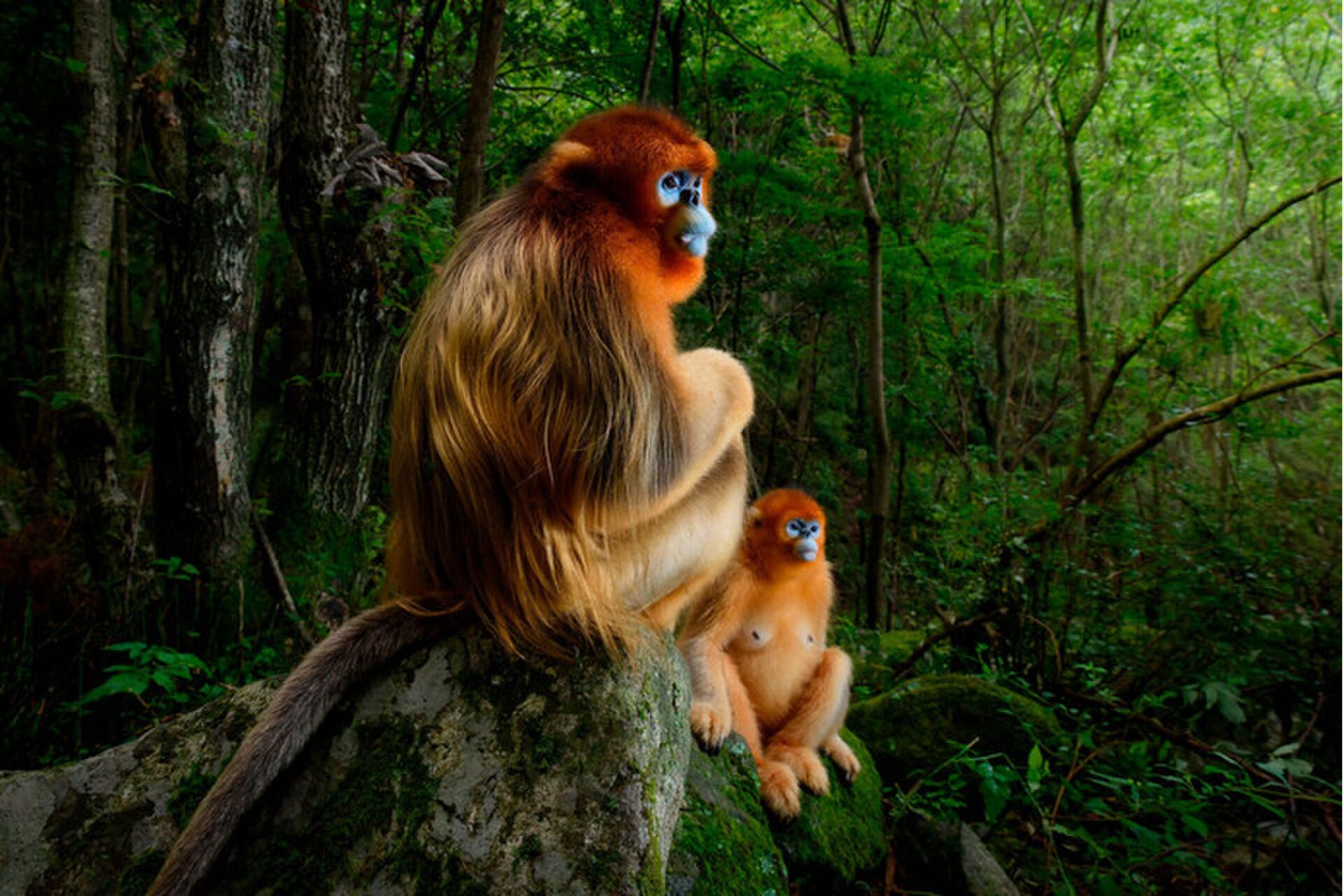 Natuurfotografie gewoonvoorhem