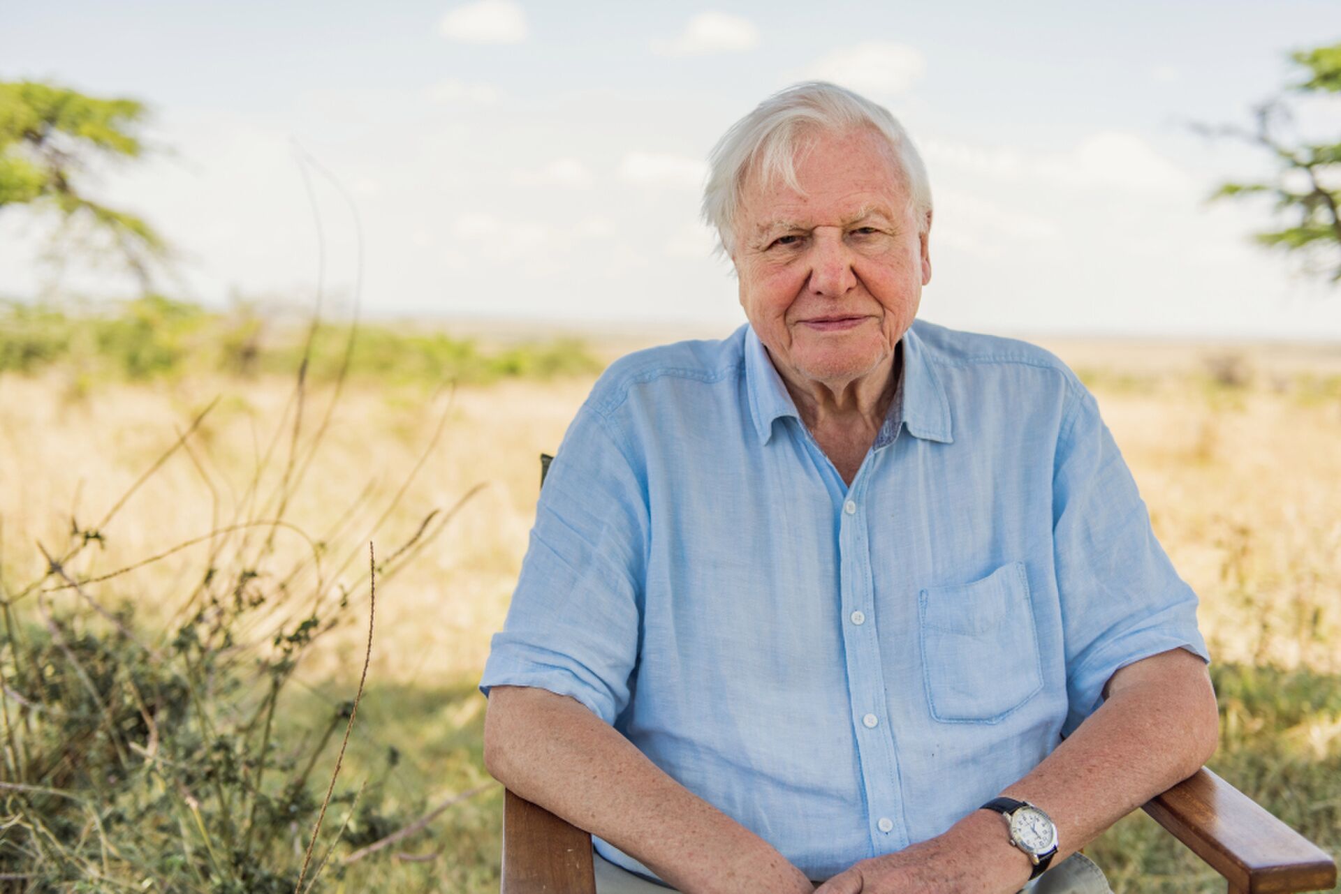 David Attenborough