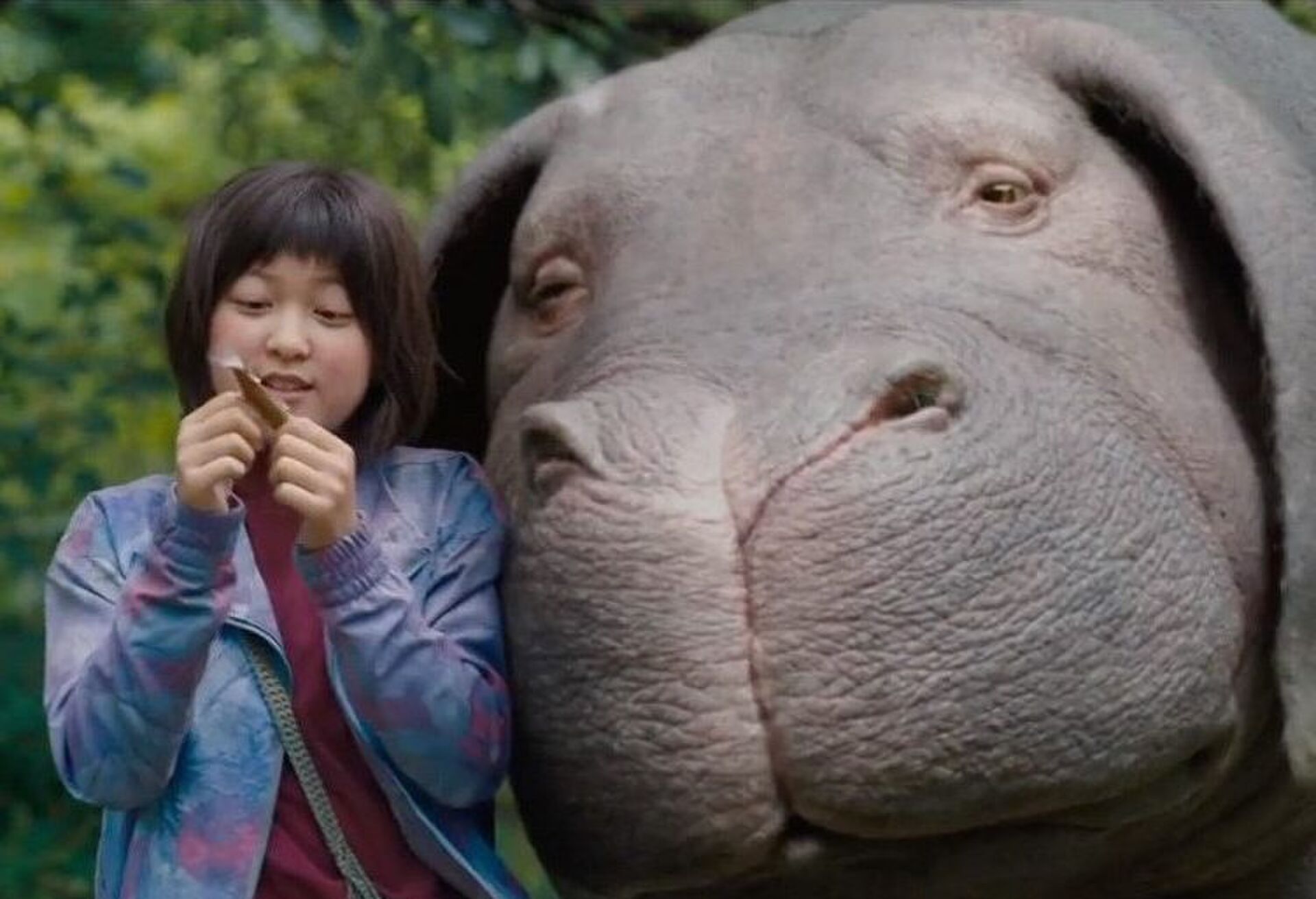 okja