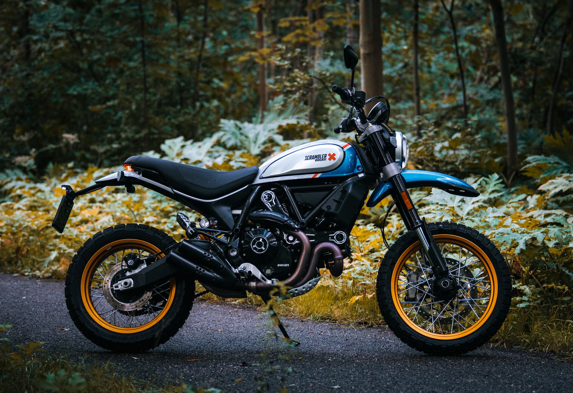 Ducati Scrambler Desert Sled