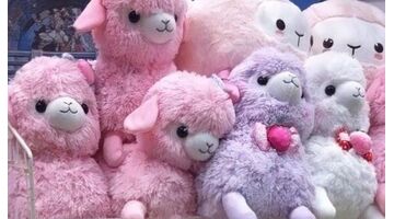 alpaca-knuffels