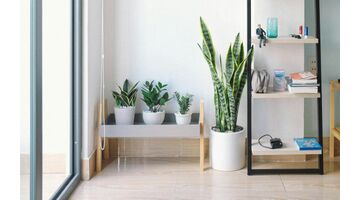 kunstplanten interieur
