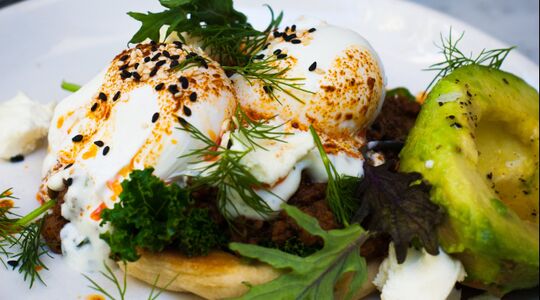 eggs benedict