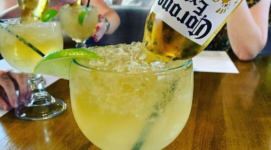 mexican bulldog
