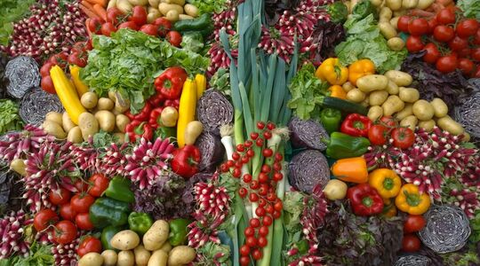 eiwitten voor vegans