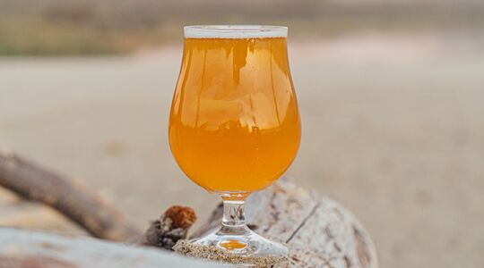 lekkerste witbier