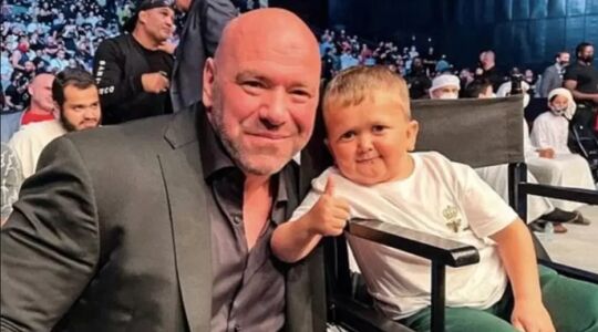 vermogen dana white