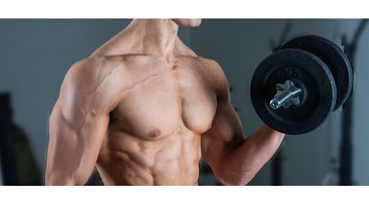 biceps trainen
