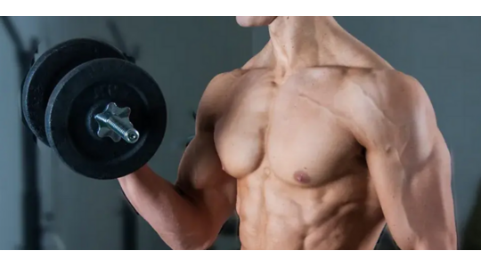 biceps workout 5