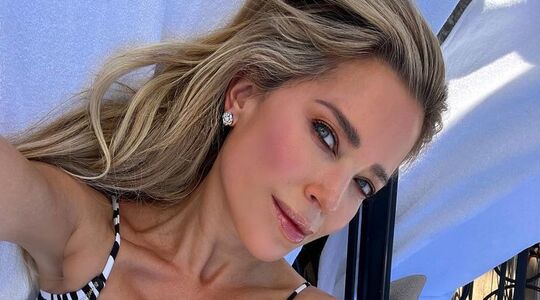 sylvie meis inbraak