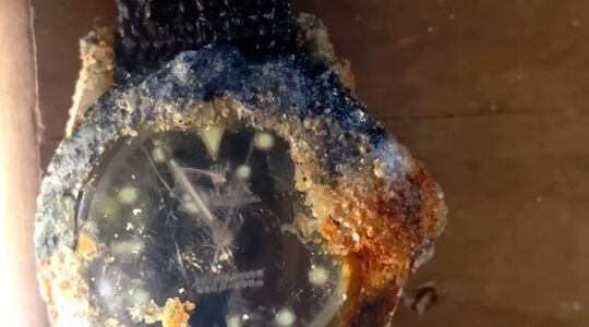 rolex zeebodem