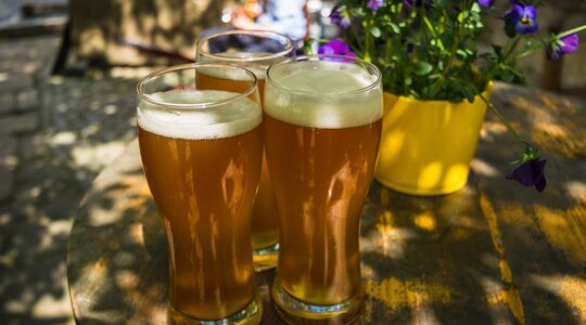 Bier afvallen