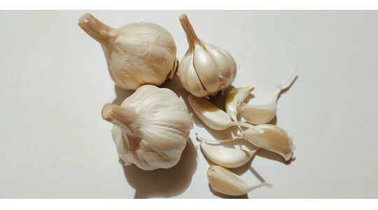Knoflook huid